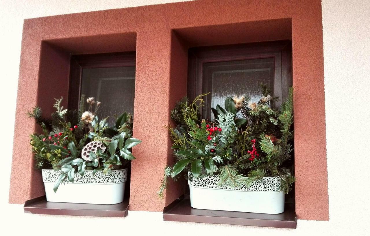 Privat Kovacova Villa Žiar Exteriör bild