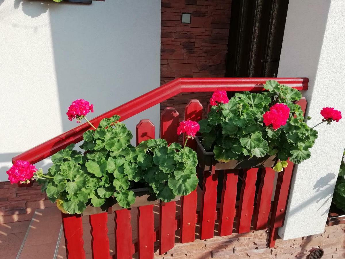Privat Kovacova Villa Žiar Exteriör bild